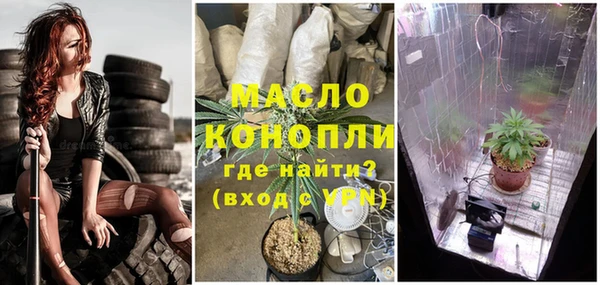 дмт Алексин