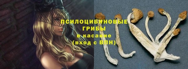 СК Алзамай