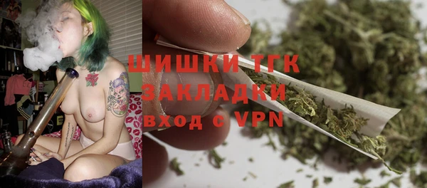 дмт Алексин