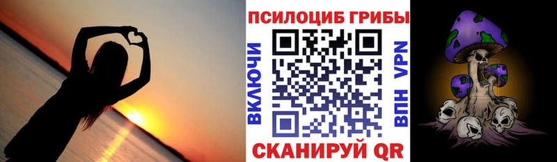 OMG ССЫЛКА  цены   Камешково  Псилоцибиновые грибы GOLDEN TEACHER 